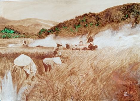 Cánh đồng ruộng lúa quê (đồng khói 3)