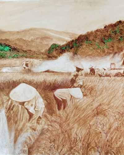 Cánh đồng ruộng lúa quê (đồng khói 3)