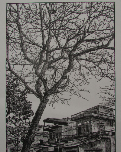 Thu phố huyện 