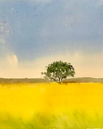 Mùa vàng bên sông