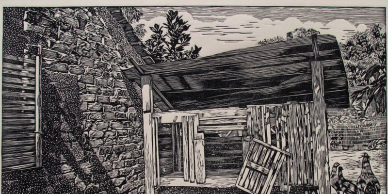 Chicken's House