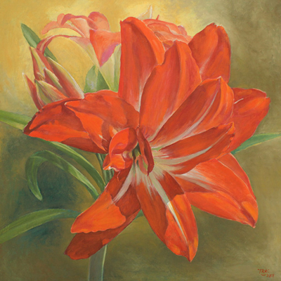LAN HUỆ ĐỎ (Red Amaryllis)