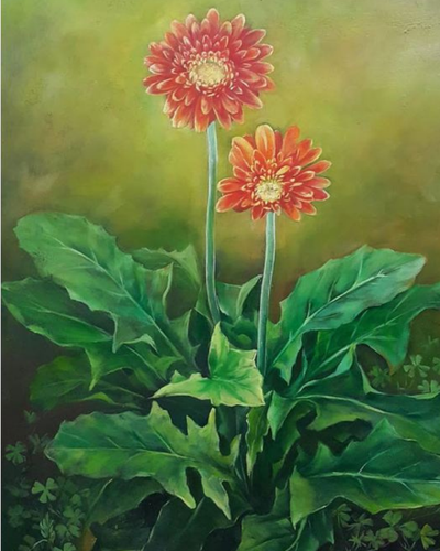 Hoa đồng tiền