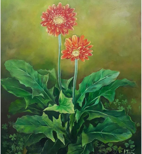 Hoa đồng tiền