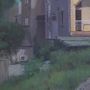 Ảnh 2