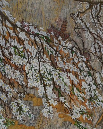 Dalbergia tonkinensis flowers