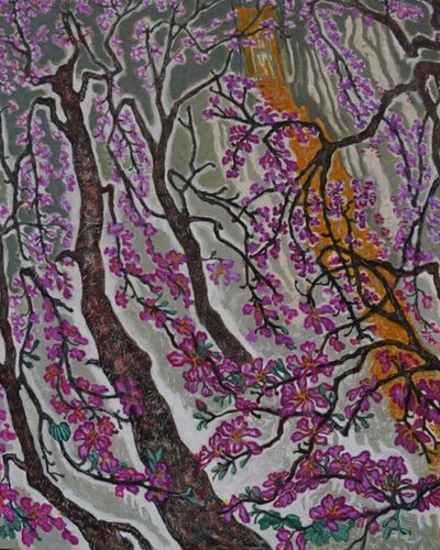 Orchid tree blooming