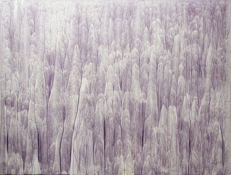 Sương sớm trên đại ngàn