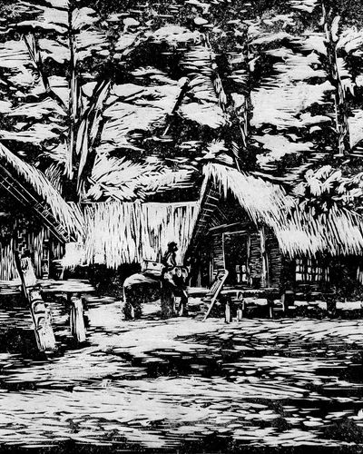 Bình minh trên bản Đôn