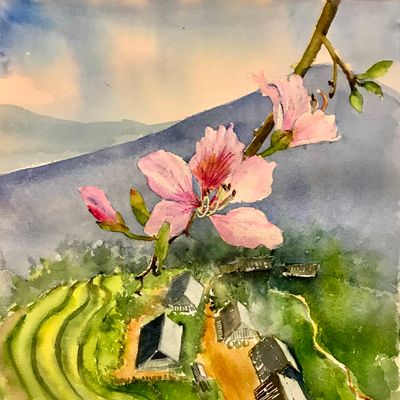 Hoa ban về