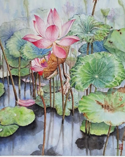 Hương mùa hè