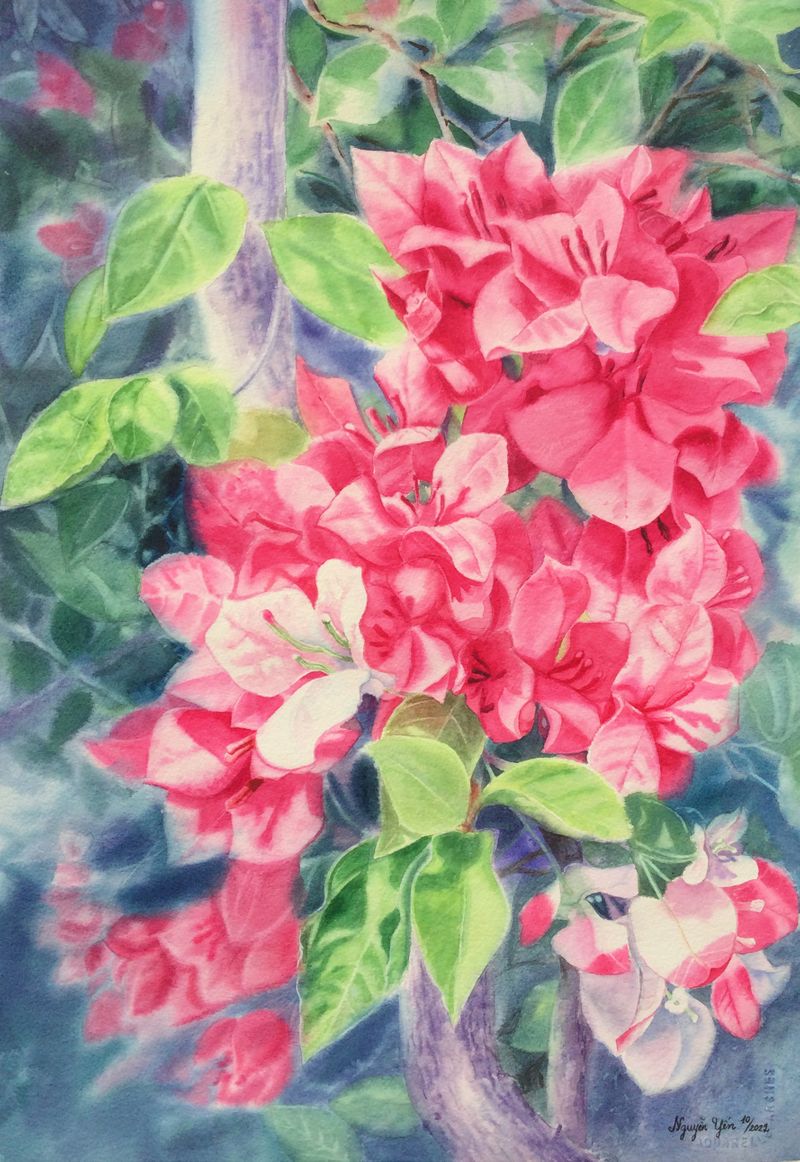 Hoa giấy