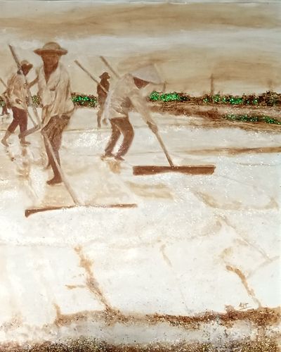 Cánh đồng ruộng muối quê