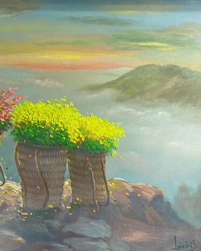 Hoa của núi