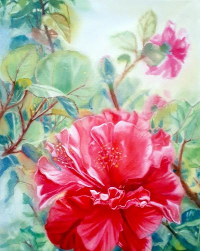 Hoa dâm bụt