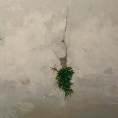 Bức tường cũ
