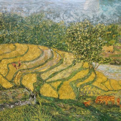 Mùa vàng Tây Bắc