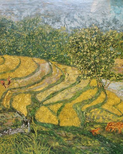 Mùa vàng Tây Bắc