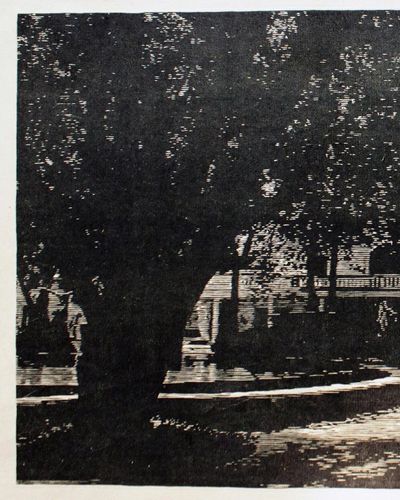 Nắng trên sân trường Đại học Mỹ thuật Việt Nam