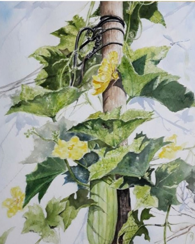 Quấn quýt