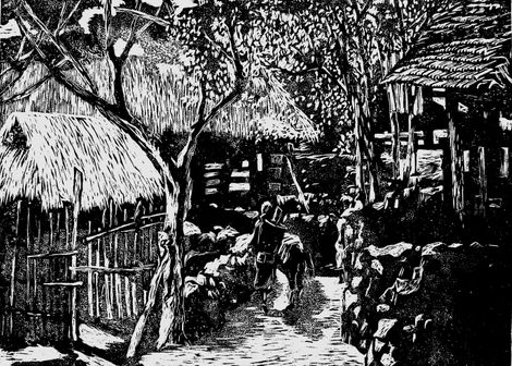 Bản Tày ở Tây Nguyên