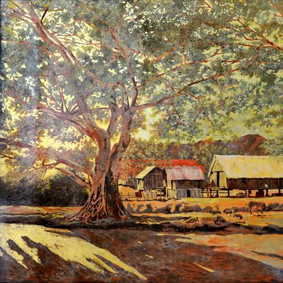 Nắng chiều Tây Nguyên