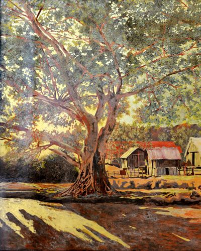 Nắng chiều Tây Nguyên